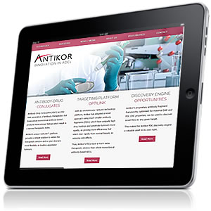 Featured Site - Antikor